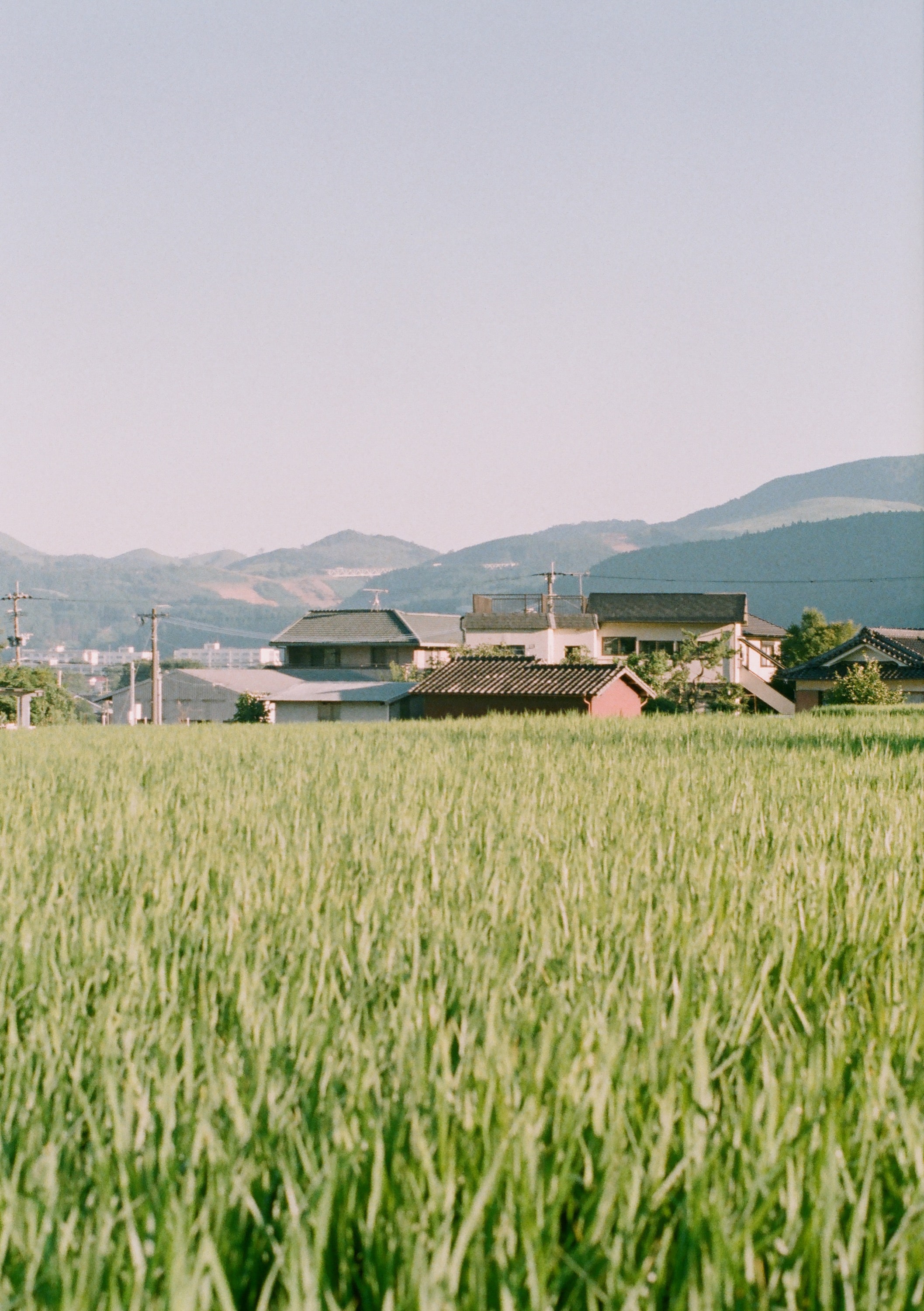 EP211 由布岳｜Olympus Pen-F 初代與 Fujifilm FujiColor 100 彩色底片實拍